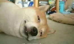 你平时吃瓜吗,那些你不知道的幕后“瓜”事