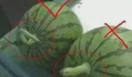 天天就这样吃瓜,揭秘娱乐圈幕后真相