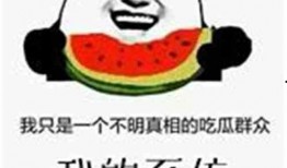 看吃瓜群众的文章