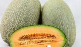 吃哈密瓜能吃牛肉,营养盛宴新体验