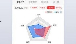 如何正确看足球比分,掌握正确视角，洞察比赛精髓