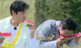 郭京飞吃瓜,娱乐圈风云再起