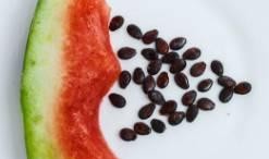 吃西瓜籽不吃瓜,品味生活，拒绝浪费