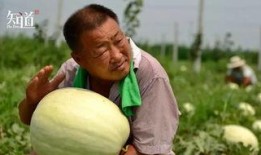 邢台吃田瓜死人,吃瓜身亡事件引发食品安全关注”