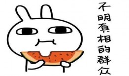 吃瓜网客服,服务态度与专业素养的完美结合