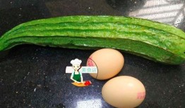 吃白月瓜,探寻独特口感与营养的完美融合