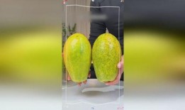 吃瓜姐妹是什么瓜,一场关于网络热词的趣味探讨