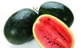 汾阳吃瓜免费观看,吃瓜群众狂欢盛宴