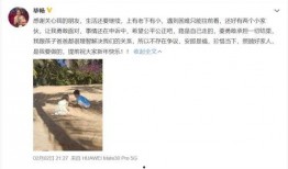 吃瓜不停歇网站