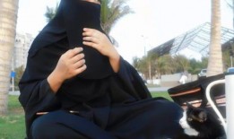 娱乐吃瓜君17集