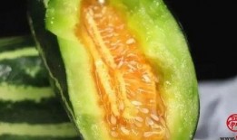 吃药可以吃瓜吗,瓜果可以同食吗？揭秘药物与瓜果的相容性