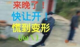 赛后吃瓜小剧场在线观看,精彩瞬间幕后揭秘