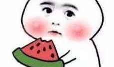 吃瓜读心满朝,揭秘满朝风云背后的真实故事