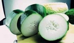 吃瓜用的特效,揭秘吃瓜神器，轻松解锁夏日清凉新姿势