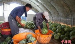 拍摄后期吃瓜设备,拍摄后期吃瓜设备大揭秘