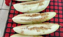 带你吃瓜新奇葩设计,趣味与创意的完美融合