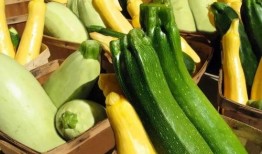 湘南吃瓜,探寻地方特色美食之旅