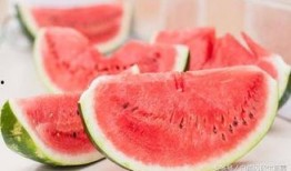 发动图吃瓜,揭秘发动图背后的趣味与智慧