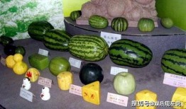 吃瓜奢侈品,品味与身份的象征