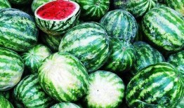 西瓜的西吃瓜,夏日消暑美食之旅