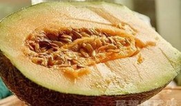 吃哈密瓜能吃牛肉,营养盛宴新体验