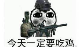 瓜坡镇吃鸡,探寻乡村美食新风尚