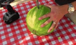 法神吃瓜,揭秘娱乐圈背后的秘密与真相