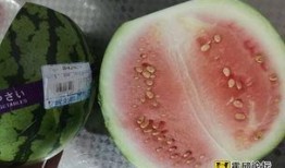 霍邱瓜可以吃吗,美味可口的天然美食探索