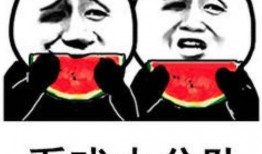 吃瓜表情熊猫人,揭秘萌宠的喜怒哀乐