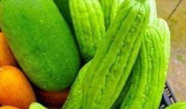 吃瓜体质谭玥,揭秘“吃瓜体质”背后的娱乐狂热与社交现象