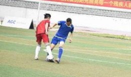 足球比分有高有低吗,高低起伏，见证激情与策略