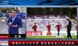 足球泰国赢日本比分预测,比分预测揭晓惊人结果！”