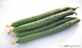 吃瓜种发胖,吃瓜也能发胖？揭秘日常饮食中的“隐形热量”陷阱