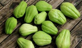 拾月吃瓜,揭秘娱乐圈幕后故事