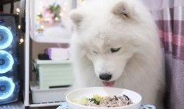 狸狸吃瓜了,揭秘娱乐圈幕后风云