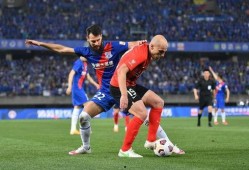 上海海港足球比分推荐,精彩对决，悬念揭晓