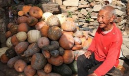 农村的吃瓜人,吃瓜人生