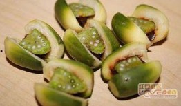 吃槟榔的瓜,探寻槟榔文化中的甜蜜与苦涩