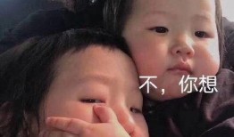 吃瓜显得忙,揭秘网络热议背后的忙碌生活