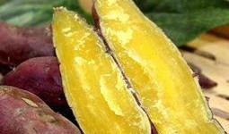 鱼耳直播吃瓜,一场别开生面的吃瓜盛宴