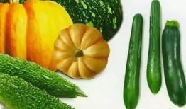 串门吃瓜,共享瓜香，共度欢乐时光