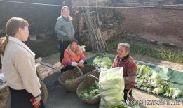 瓜坡镇吃鸡,探寻乡村美食新风尚