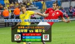 匈牙利足球经典比分直播