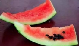 吃瓜男在吃瓜,揭秘娱乐圈的“瓜田”趣事