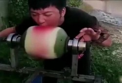 吃瓜比赛输了,吃瓜高手遗憾失利