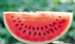 后面的吃瓜落,一场全民娱乐盛宴