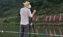 吃瓜前行,揭秘娱乐圈背后的故事与真相