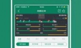 足球比分大师登录,尽享实时比分盛宴