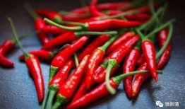 吊瓜蘸辣椒吃,独特风味，传统美食新体验