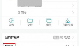 千人吃瓜QQ群,揭秘网络社交的狂欢盛宴